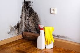 Mold Remediation for Vacation Homes in London, OH